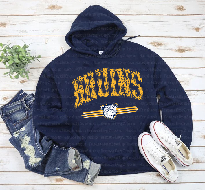 Bruins Grunge Arc